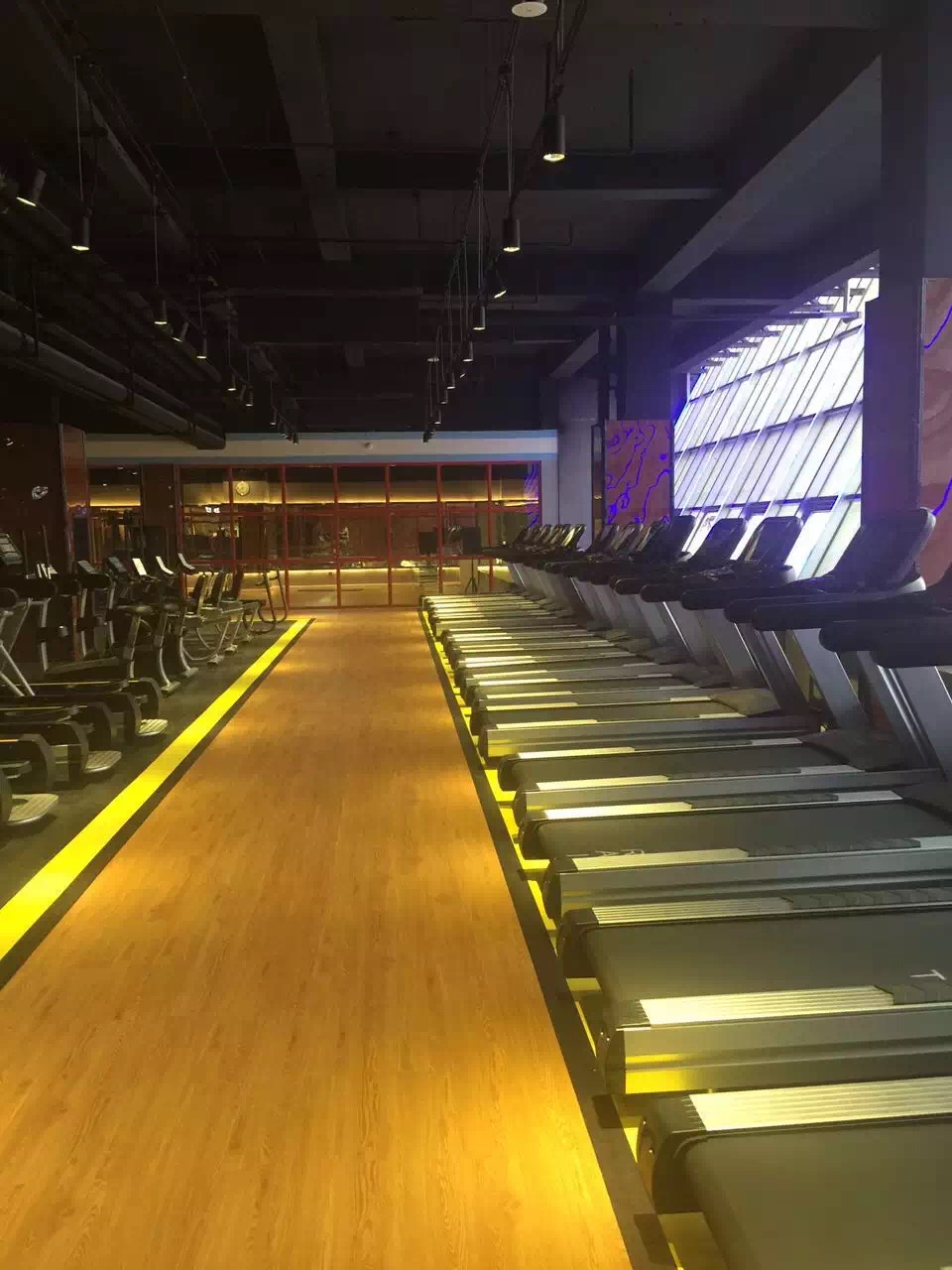 塑胶地板 塑胶地板